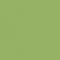 столешница "Салатовый" 28мм (глянец/с) (600, 3000)  2730г/с